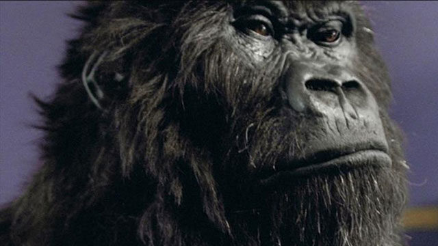 Brand_Ad_Cadbury_Gorilla